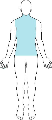 骨盤・胸腹部臓器等