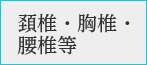 頚椎・胸椎・腰椎等