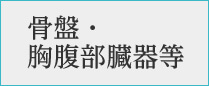 骨盤・胸腹部臓器等