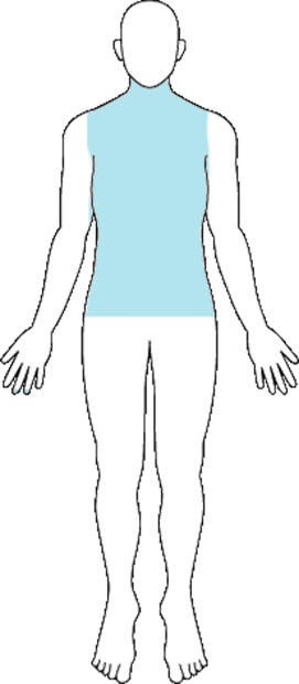 骨盤・胸腹部臓器等