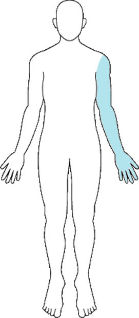 肩・腕・手