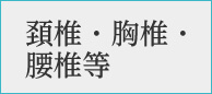 頚椎・胸椎・腰椎等
